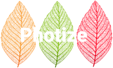 Photize Photosynthesis for food Logo